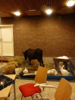 Kerst-Inn-2009-16
