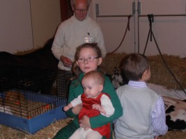 OLYMPUS DIGITAL CAMERA