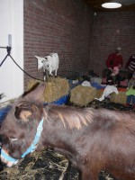 Kerst-Inn-2013-039