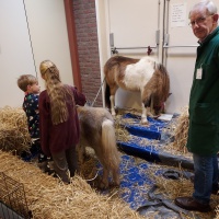 Kerst-Inn-2024-stal-3