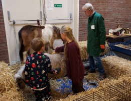 Kerst-Inn-2024-stal-4