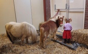 Kerst-Inn-2025-kerststal-3