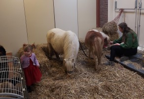 Kerst-Inn-2025-kerststal-4