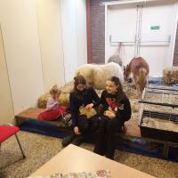 Kerst-Inn-2025-kerststal